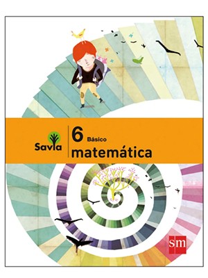 SET MATEMÁTICA 6º BÁSICO, PROYECTO SAVIA (CONSULTAR STOCK)