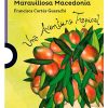 EL REGRESO DE LA MARAVILLOSA MACEDONIA