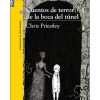 CUENTOS DE TERROR DE LA BOCA DEL TÚNEL