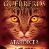 LOS GATO GUERREROS N°6 (ATARDECER)