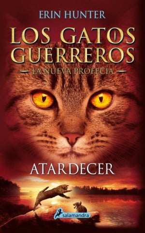 LOS GATO GUERREROS N°6 (ATARDECER)