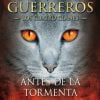 LOS GATOS GUERREROS N°4 (ANTES DE LA TORMENTA)