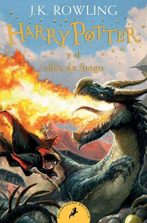 HARRY POTTER Y EL CALIZ DE FUEGO (4) DEBOLSILLO