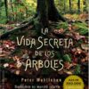 LA VIDA SECRETA DE LOS ÁRBOLES